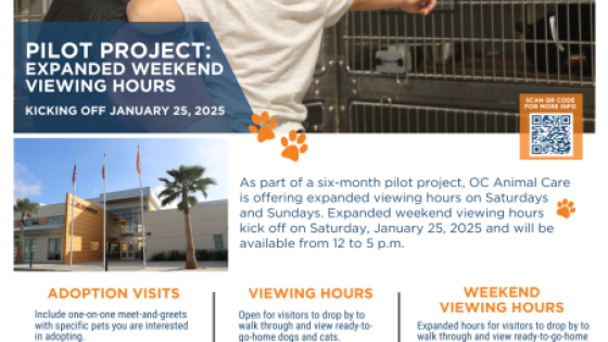 OC Animal Care Expands Adoption and Viewing Hours